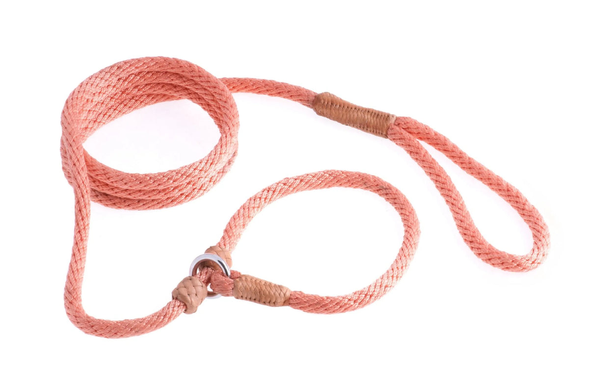ALVALLEY NYLON SLIP LEASH (6ft  x 5/16in or 8mm)