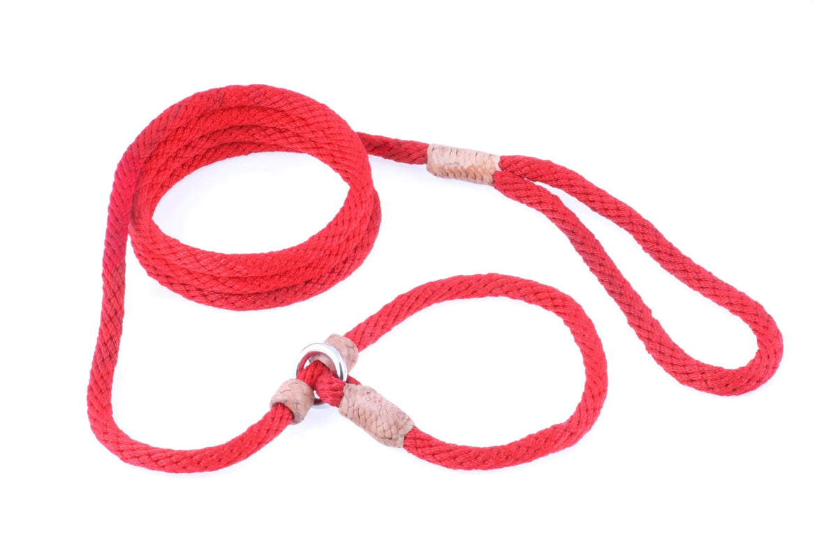 ALVALLEY NYLON SLIP LEASH (6ft  x 5/16in or 8mm)