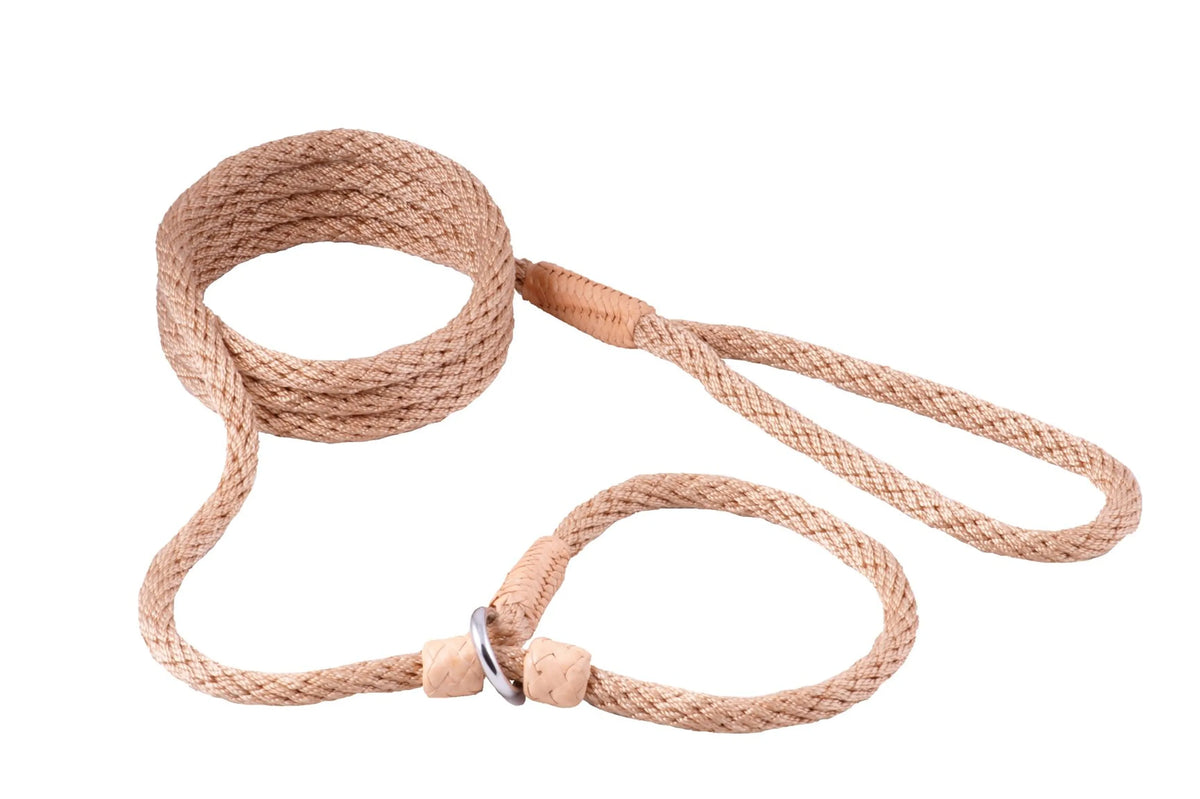ALVALLEY NYLON SLIP LEASH (6ft  x 5/16in or 8mm)