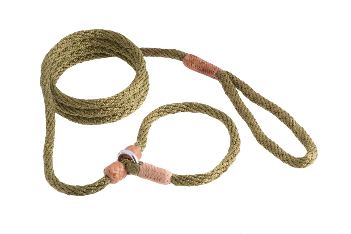 ALVALLEY NYLON SLIP LEASH (6ft  x 5/16in or 8mm)