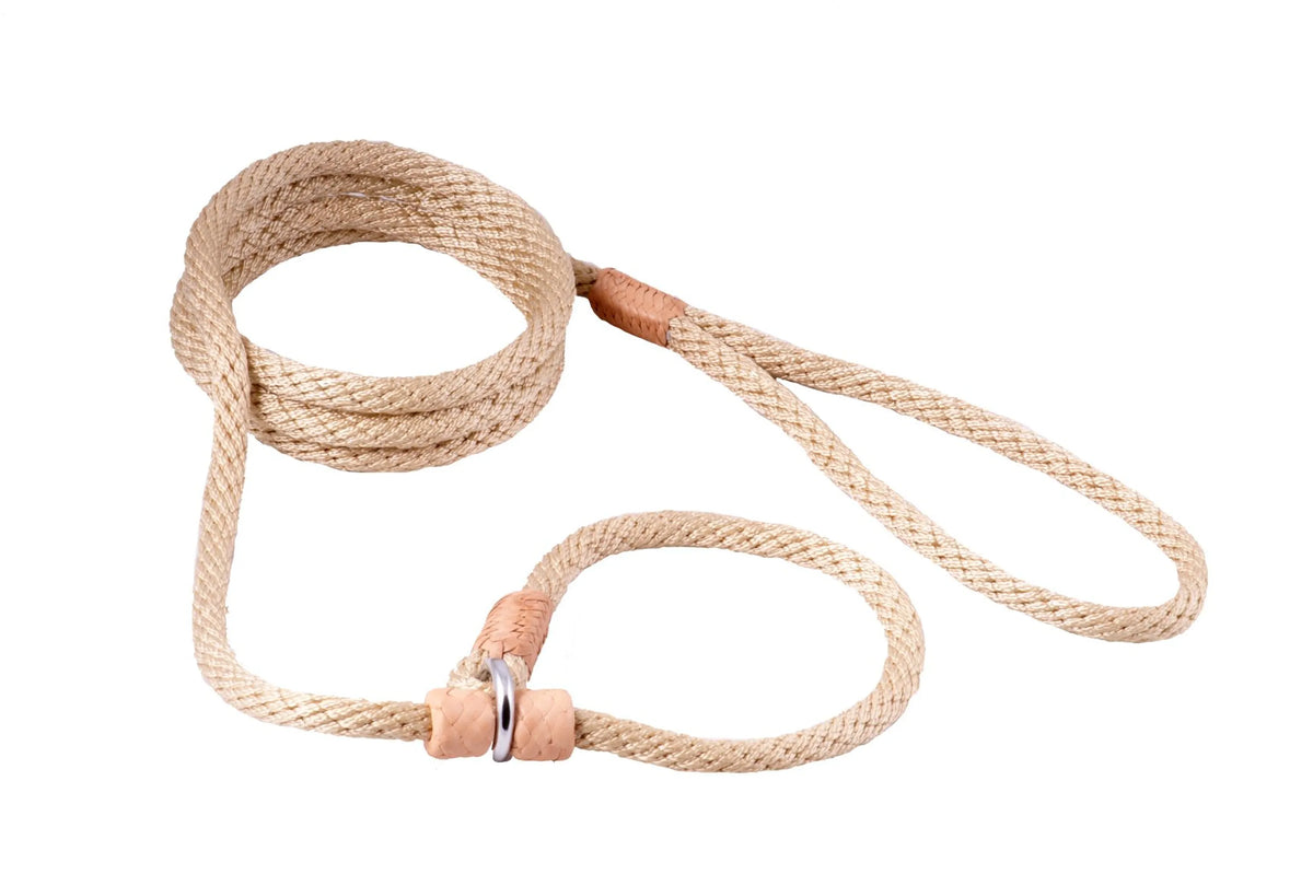 ALVALLEY NYLON SLIP LEASH (6ft  x 5/16in or 8mm)