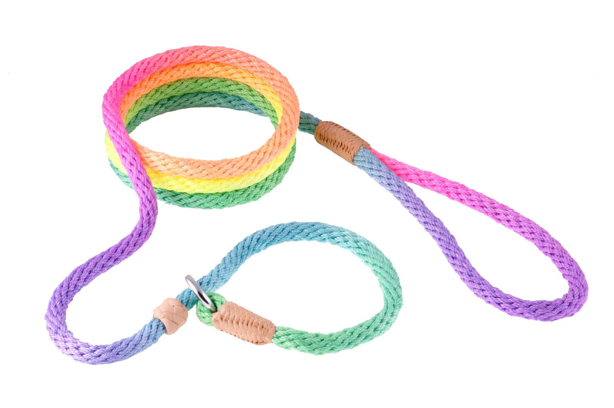 ALVALLEY NYLON SLIP LEASH (6ft  x 5/16in or 8mm)