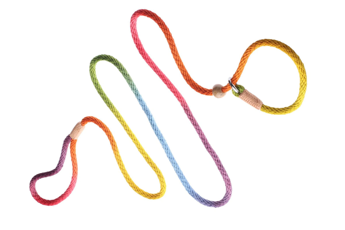ALVALLEY NYLON SLIP LEASH (6ft  x 5/16in or 8mm)