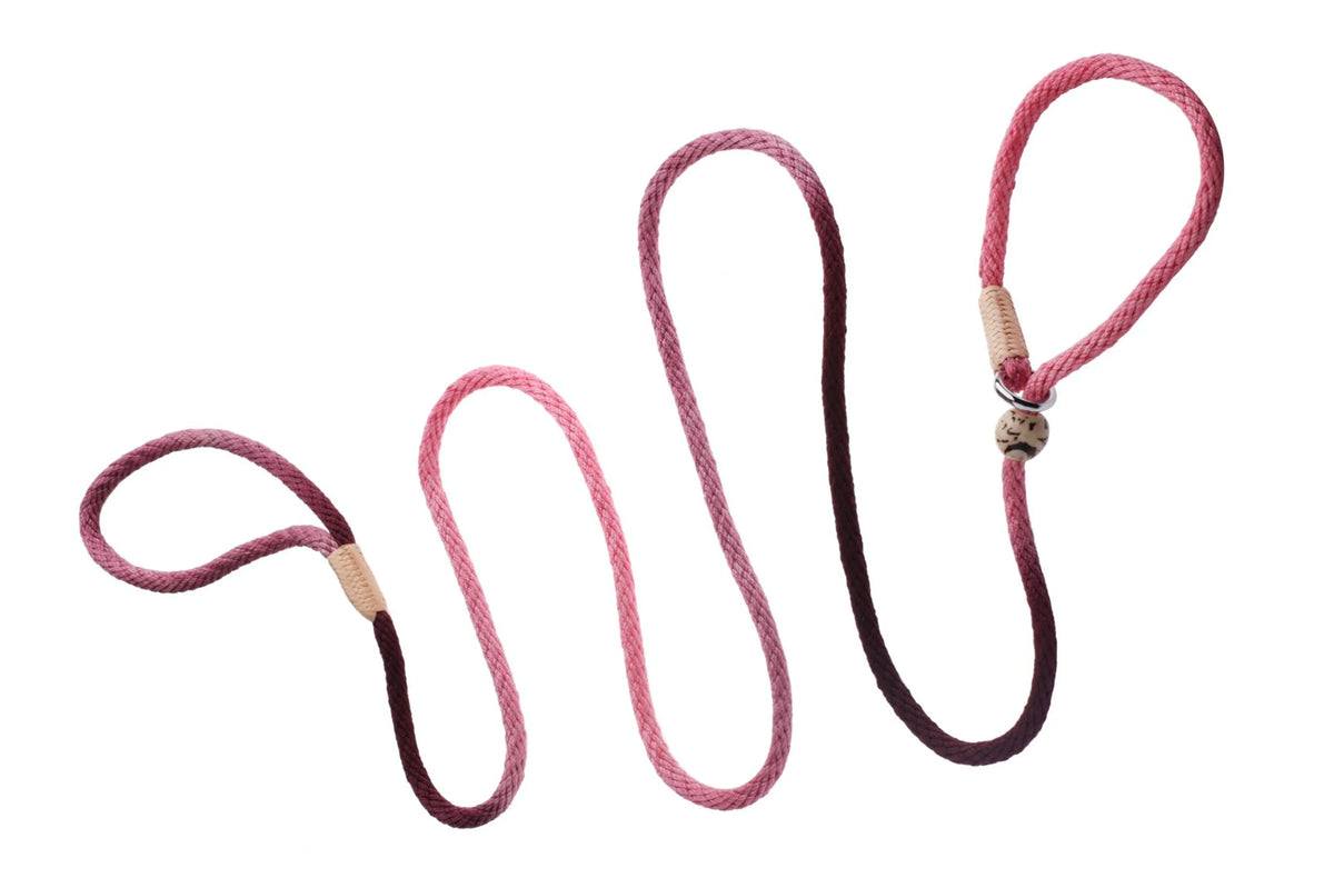 ALVALLEY NYLON SLIP LEASH (6ft  x 5/16in or 8mm)