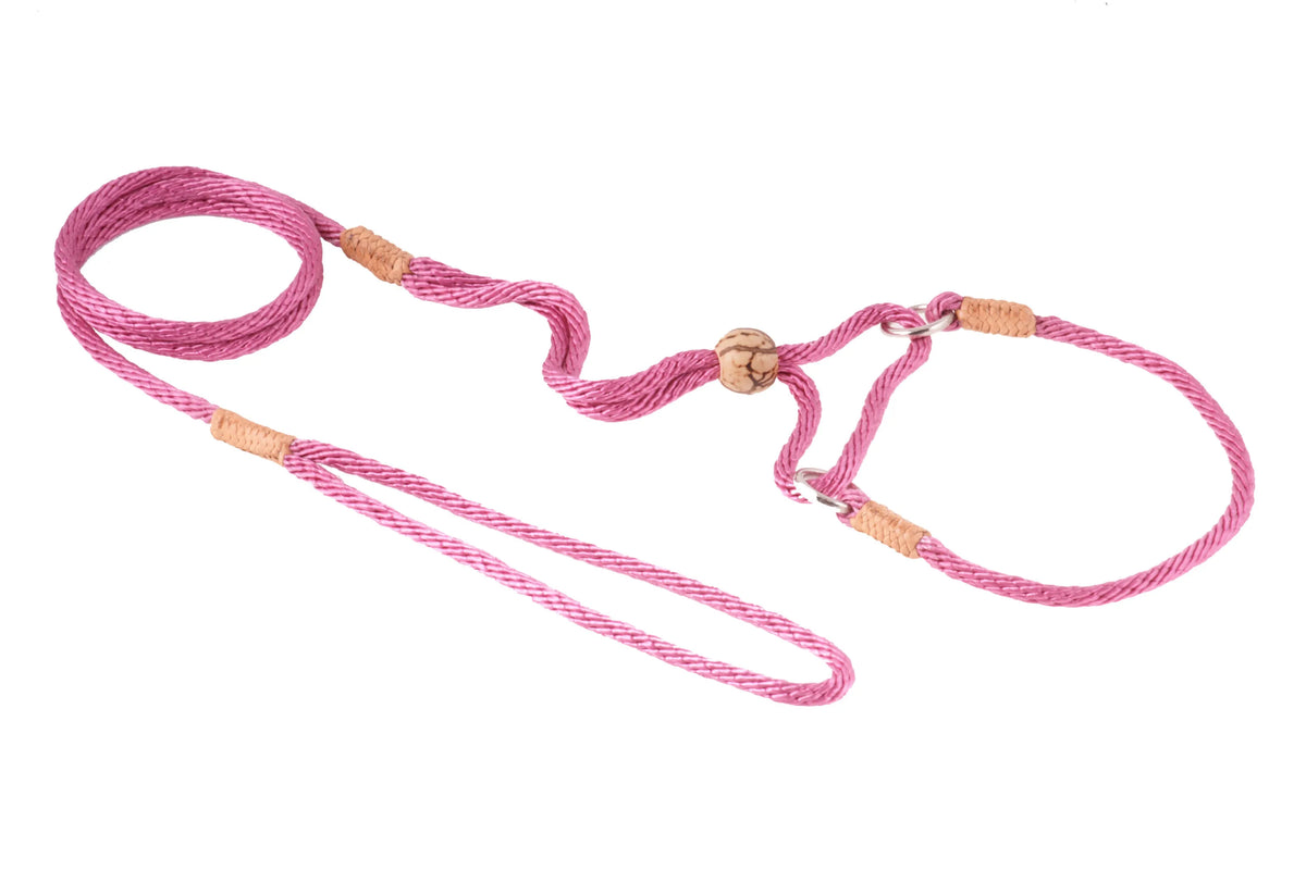 ALVALLEY MARTINGALE LEAD
