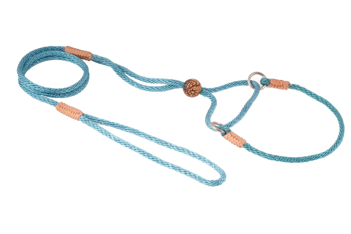 ALVALLEY MARTINGALE LEAD