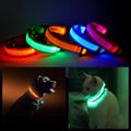 LED PET SAFETY HALO COLLAR 1CT