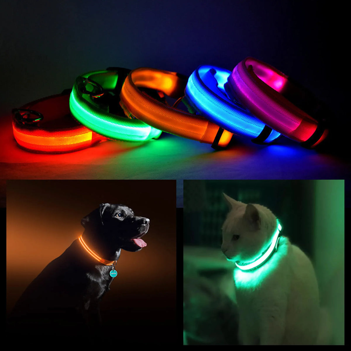 LED PET SAFETY HALO COLLAR 1CT