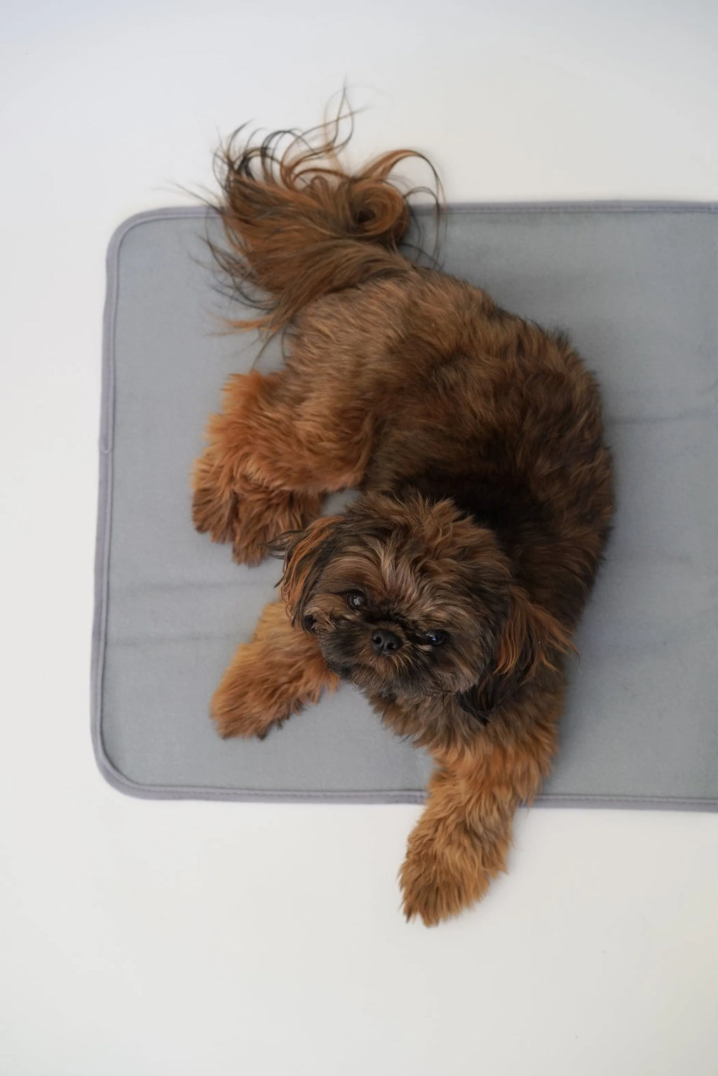 THERA PAWZ WARMING PAD