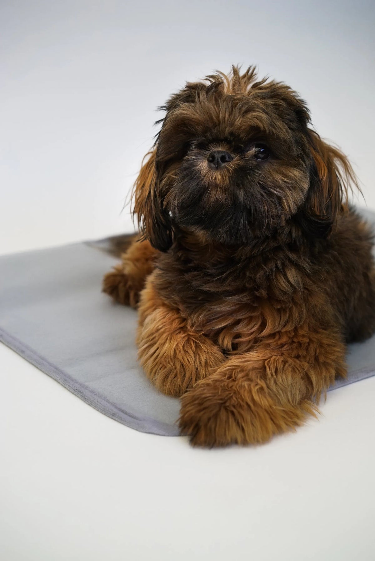 THERA PAWZ WARMING PAD