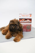 THERA PAWZ WARMING PAD