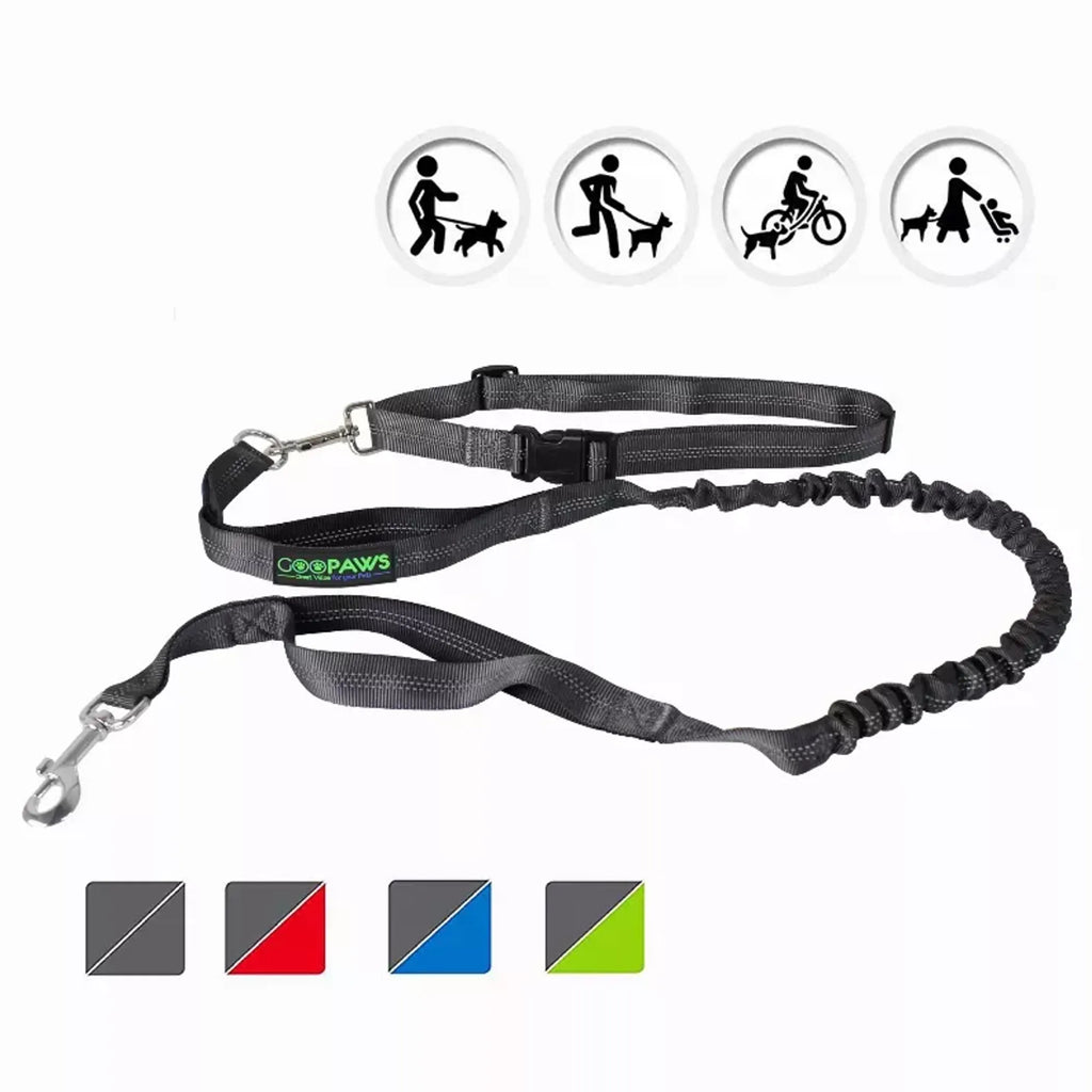 JESPET HANDS FREE LEASH