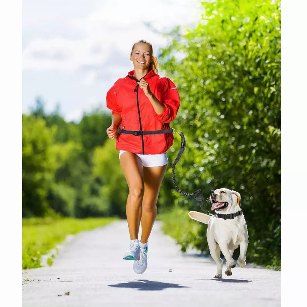 JESPET HANDS FREE LEASH