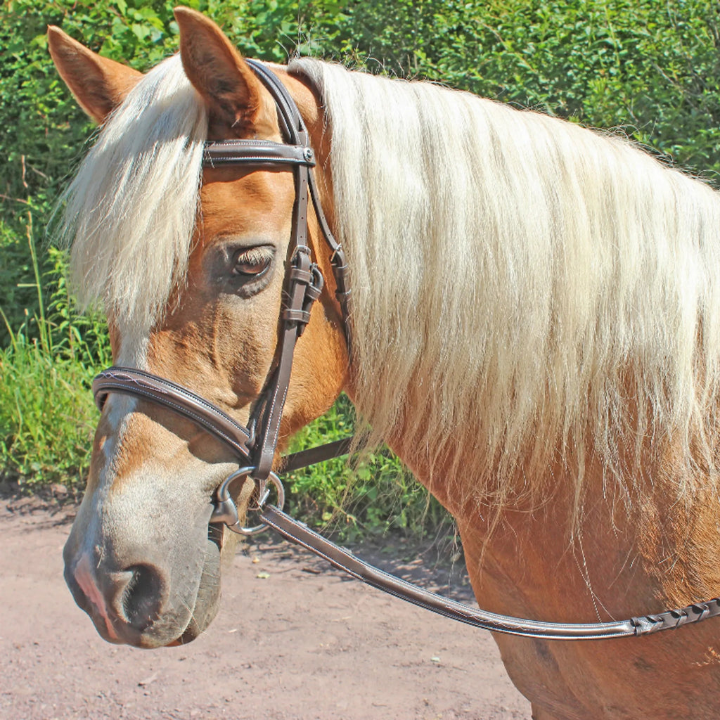HENRI DE RIVEL PRO FANCY RAISED COMFORT CROWN PADDED BRIDLE