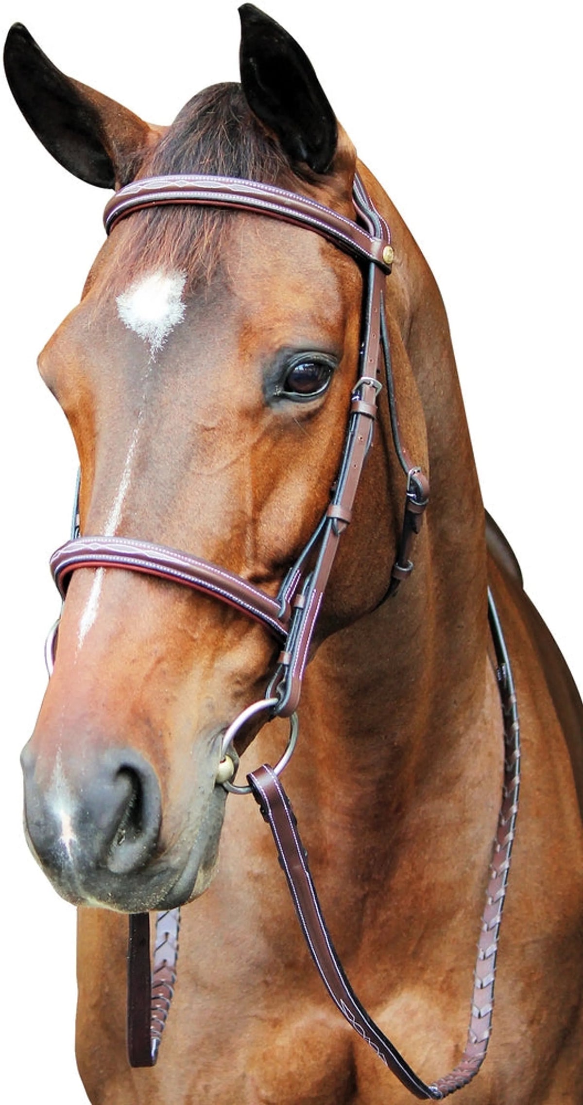 HENRI DE RIVEL PRO FANCY RAISED COMFORT CROWN PADDED BRIDLE