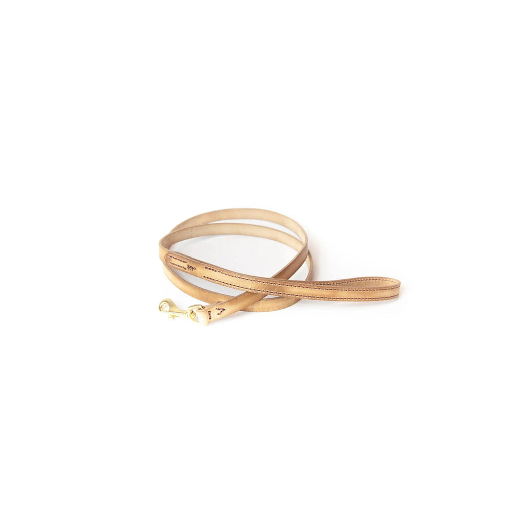 SB FULL GRAIN LEATHER LEASH