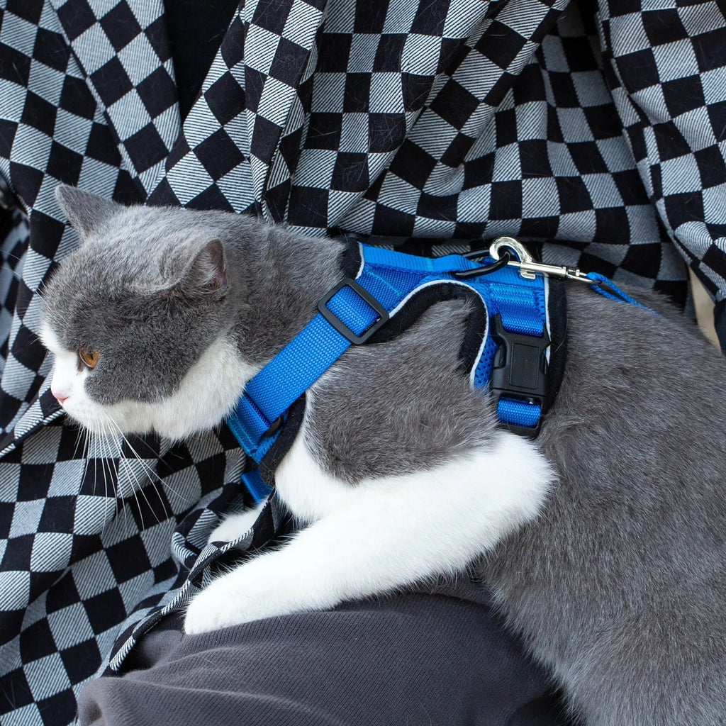 MR PEANUT'S PURRTREK REFLECTIVE CAT HARNESS WITH MATCHING LEASH