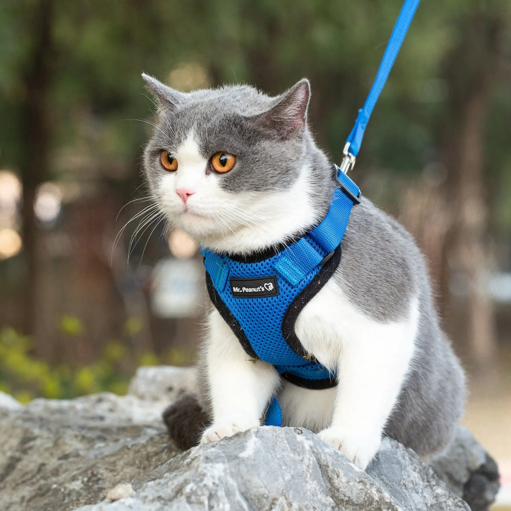 MR PEANUT'S PURRTREK REFLECTIVE CAT HARNESS WITH MATCHING LEASH