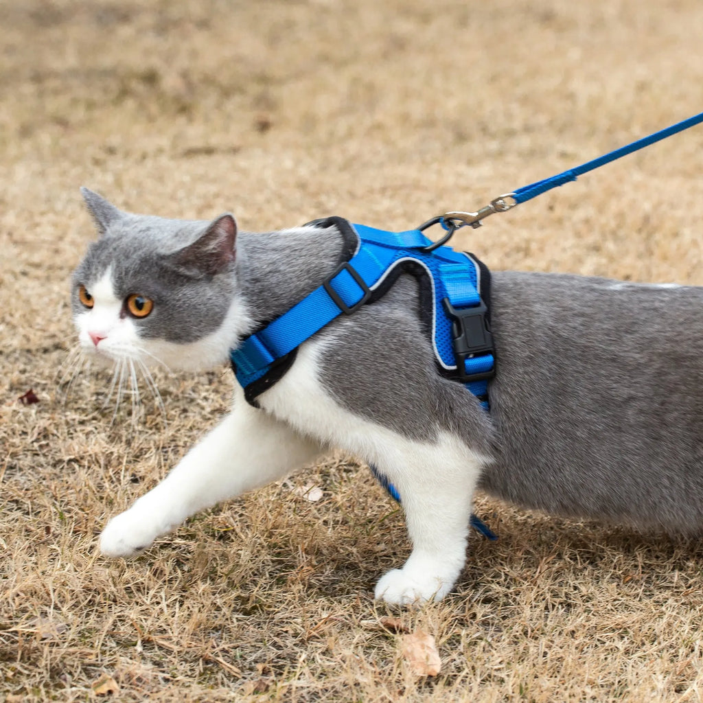 MR PEANUT'S PURRTREK REFLECTIVE CAT HARNESS WITH MATCHING LEASH