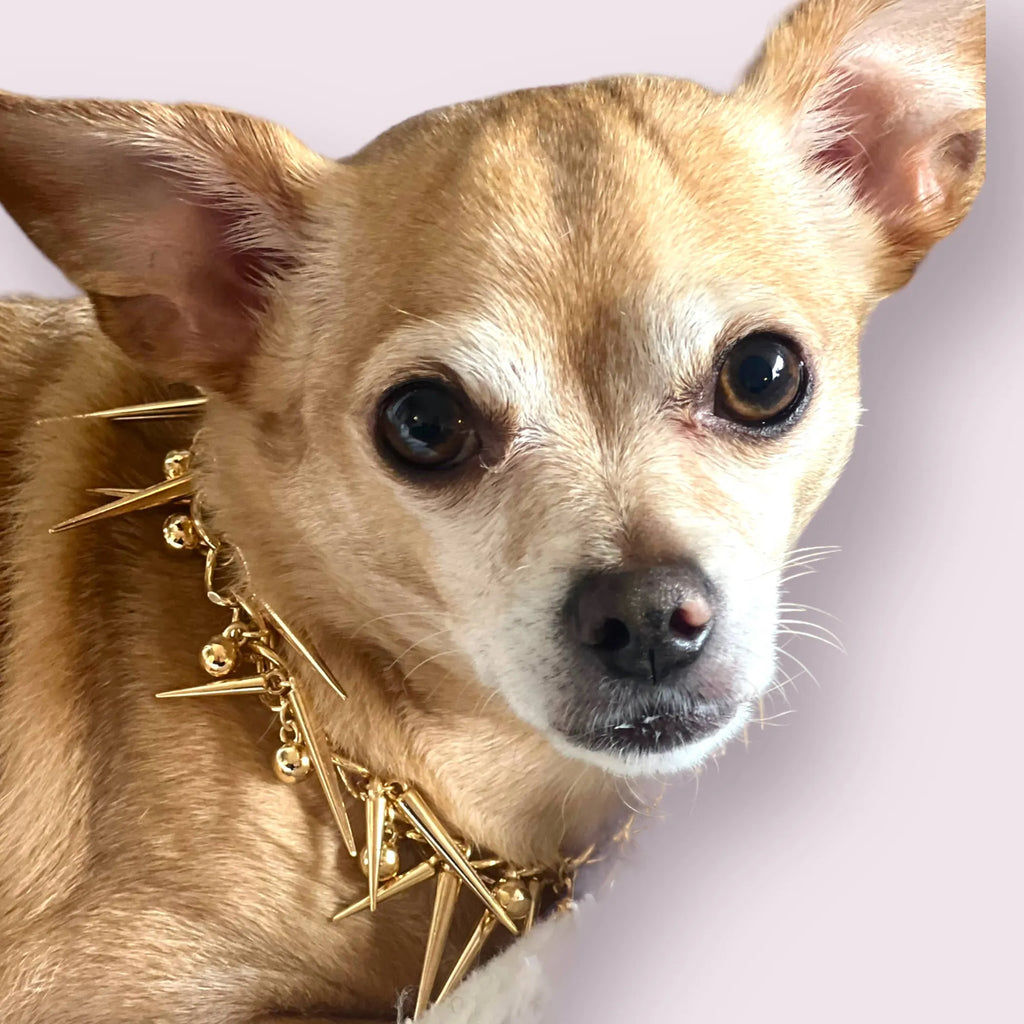 SPIKEY STUD CHAIN DOG NECKLACE