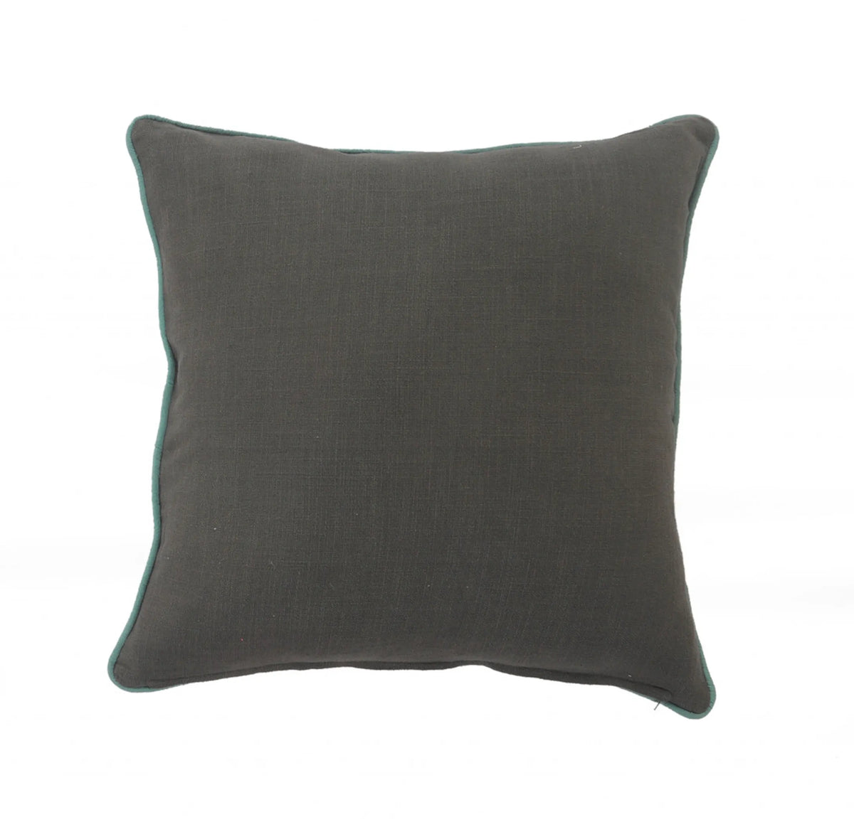 SALMON & GREEN ANIMAL PILLOW