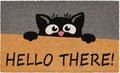 HELLO THERE OUTDOOR MAT