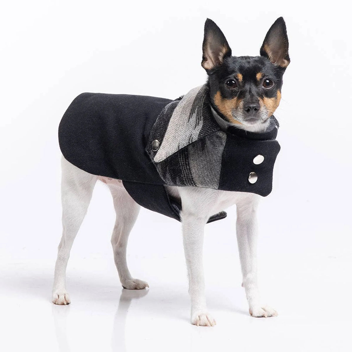 DCNY RANCH COAT