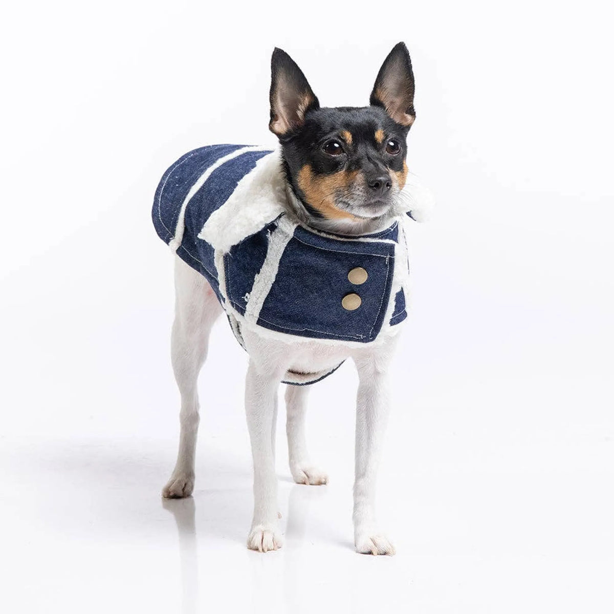 DCNY RANCH COAT
