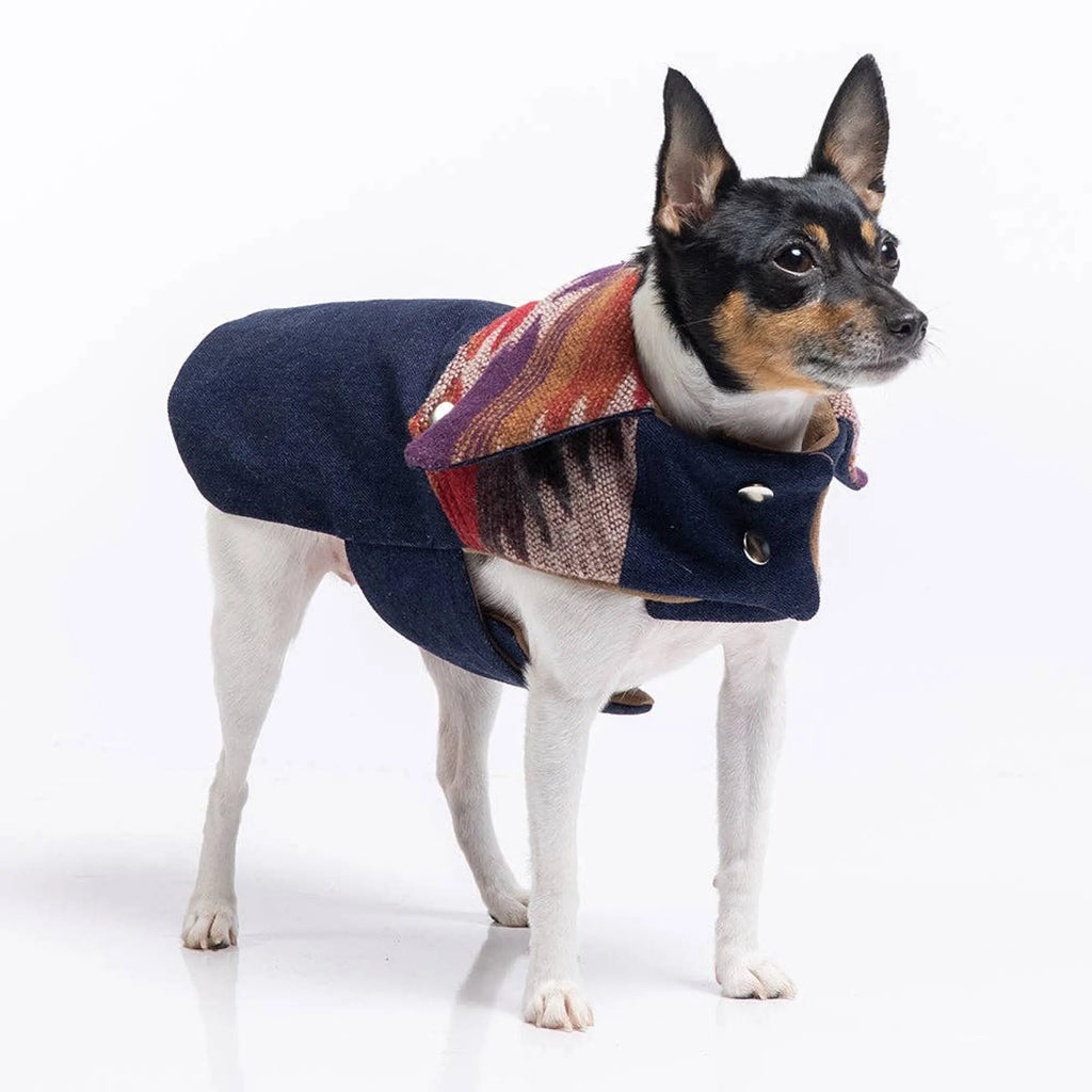 DCNY RANCH COAT