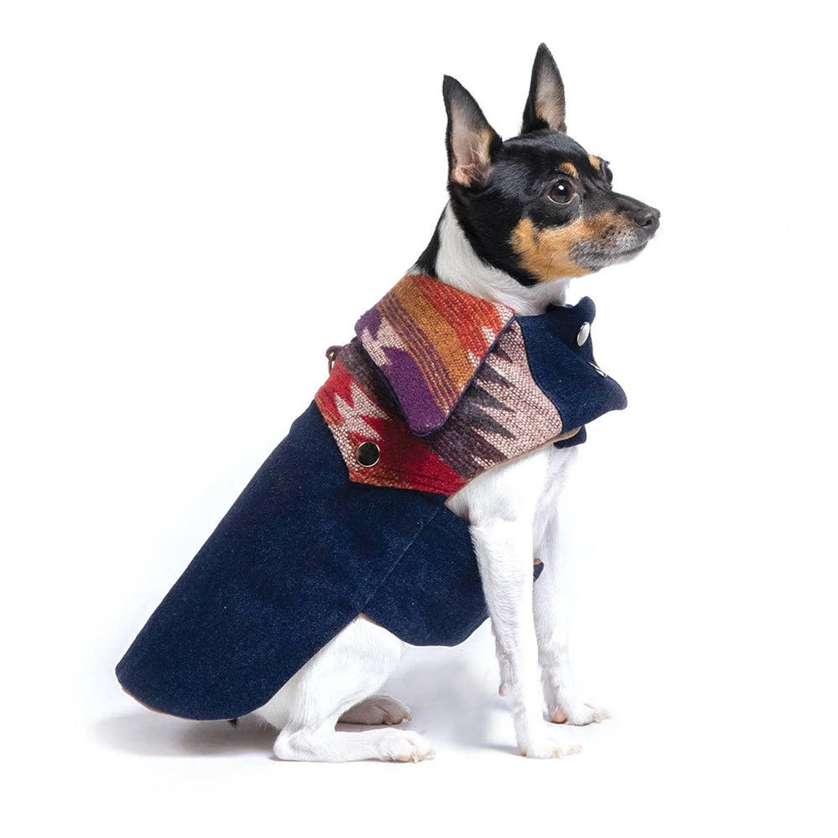DCNY RANCH COAT