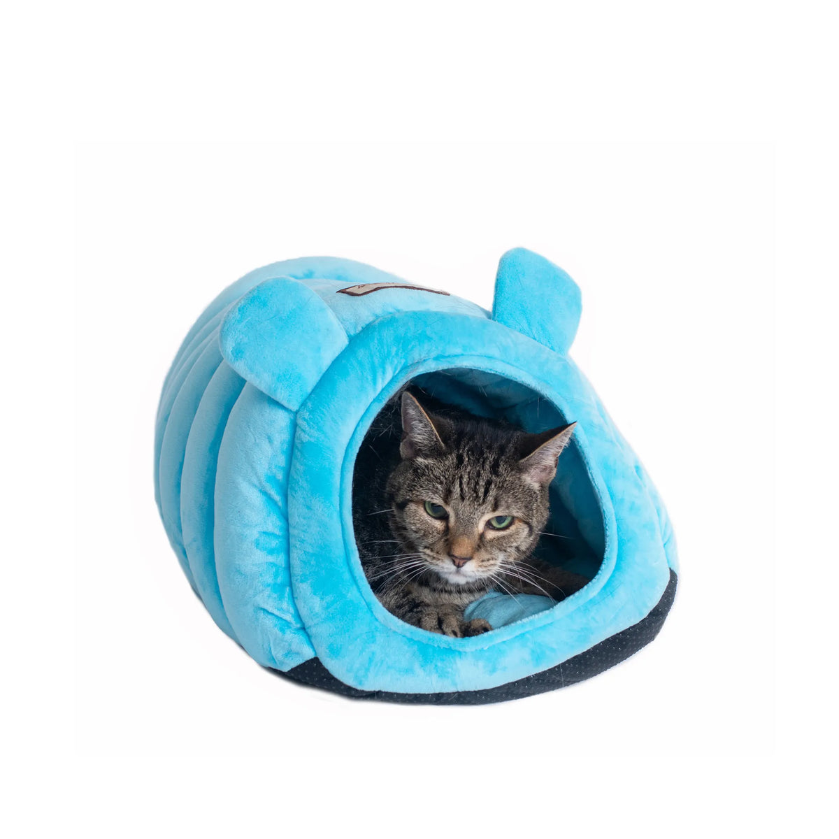 ARMARKAT EARED BED