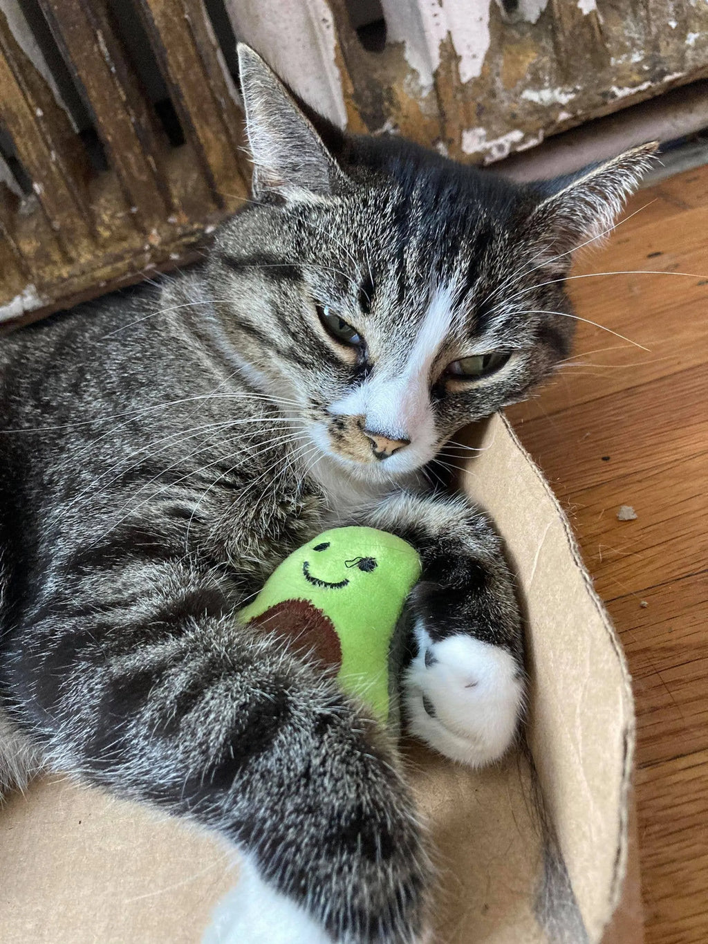 SMOKEY'S STASH CATNIP TOYS