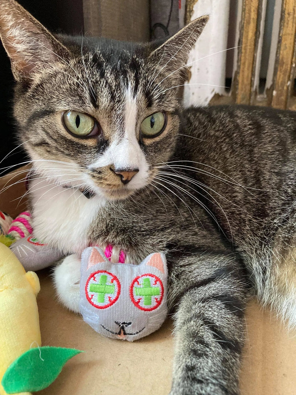 SMOKEY'S STASH CATNIP TOYS