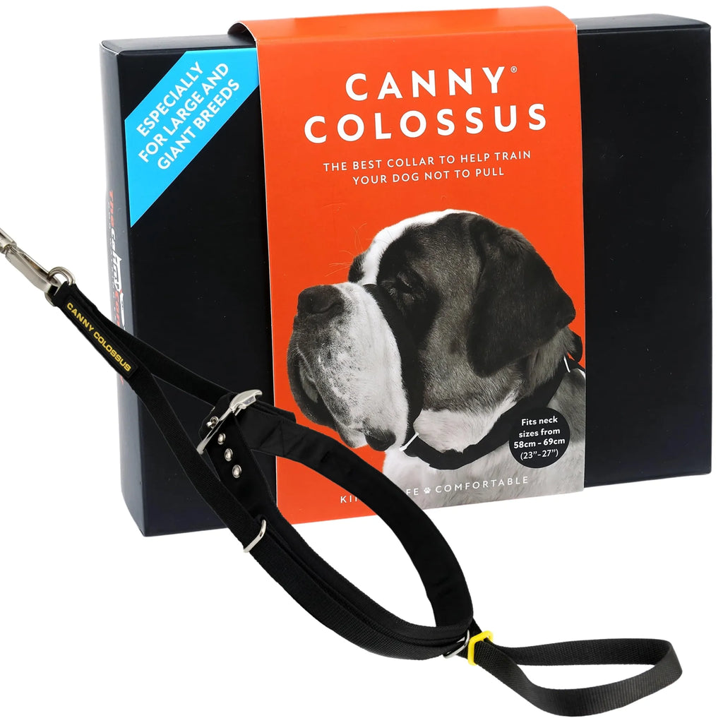 CANNY COLOSSUS TRAINING COLLAR