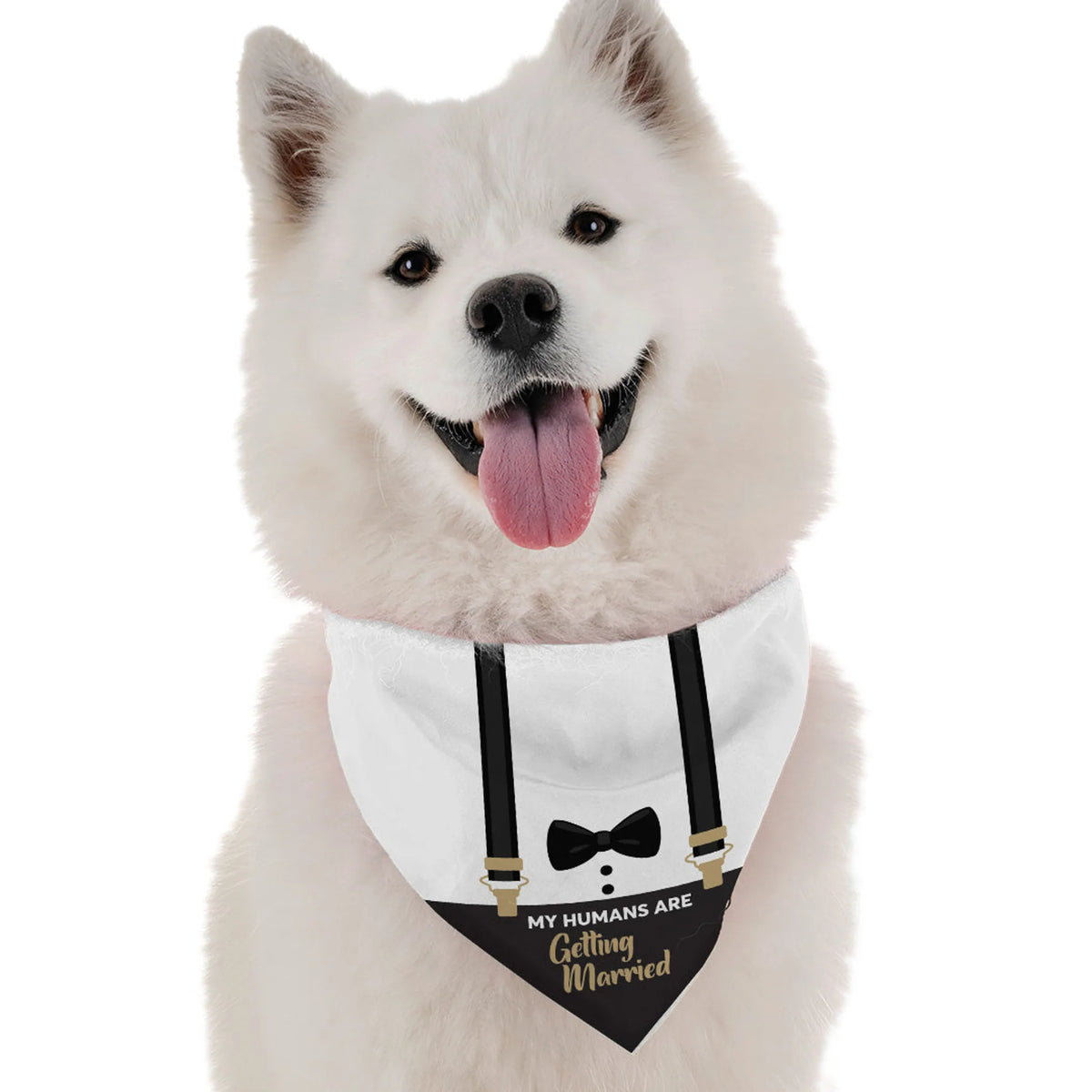 MY HUMANS ARE GETTING MARRIED BANDANNA