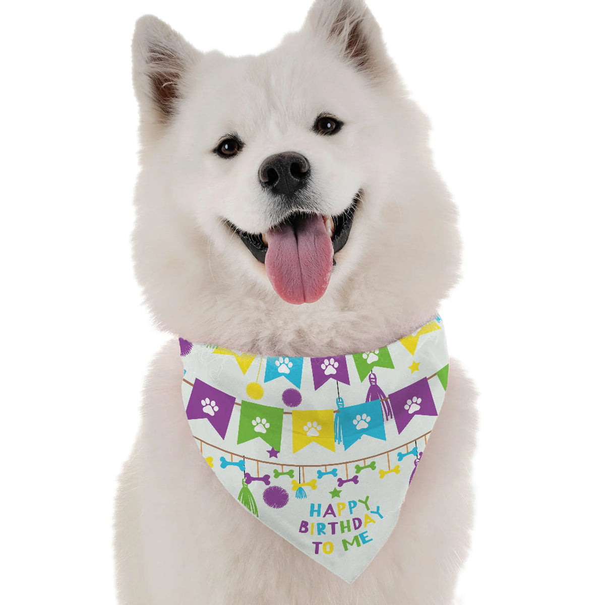HAPPY BIRTHDAY TO ME BANDANNA