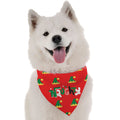 NAUGHTY BANDANNA