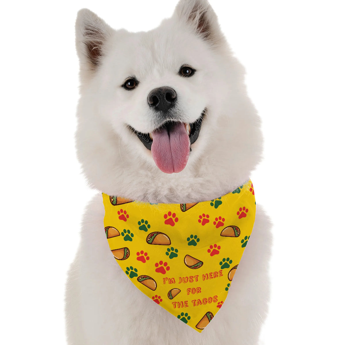 I'M JUST HERE FOR THE TACOS BANDANNA