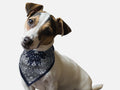 NAVY PAISLEY BANDANNA