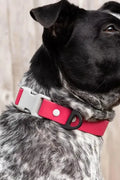 WATERPROOF COLLAR IN RED MOUNTAIN SYRAH