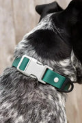SIBERIAN SPRUCE WATERPROOF COLLAR