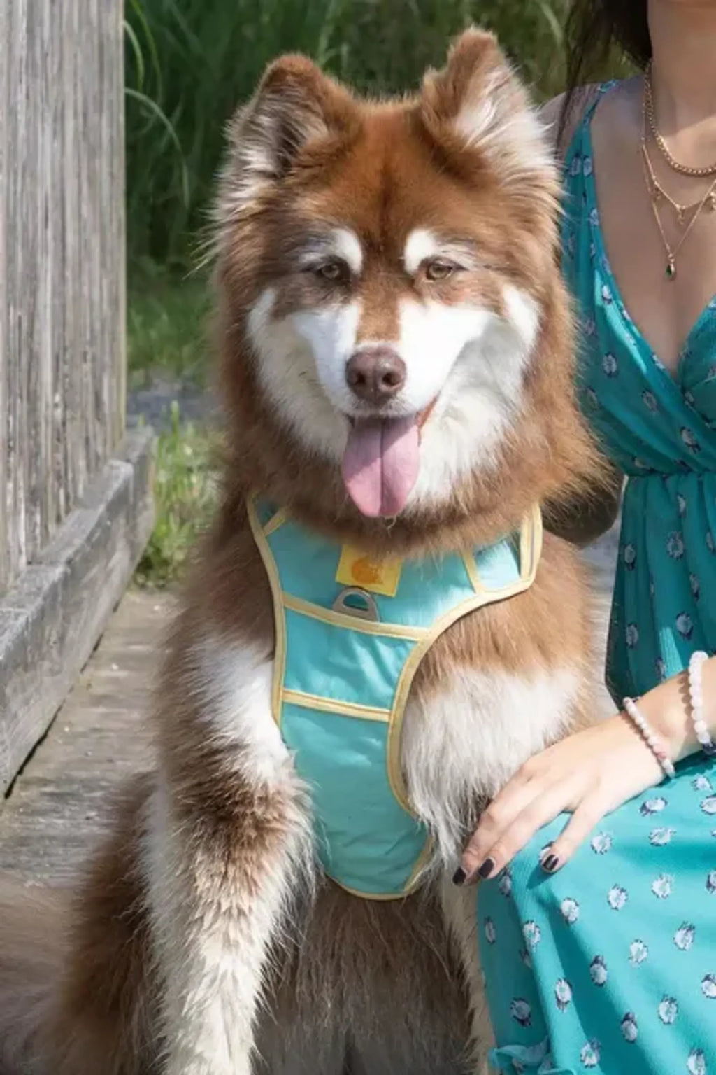 ISLAND VIBES DOG HARNESS