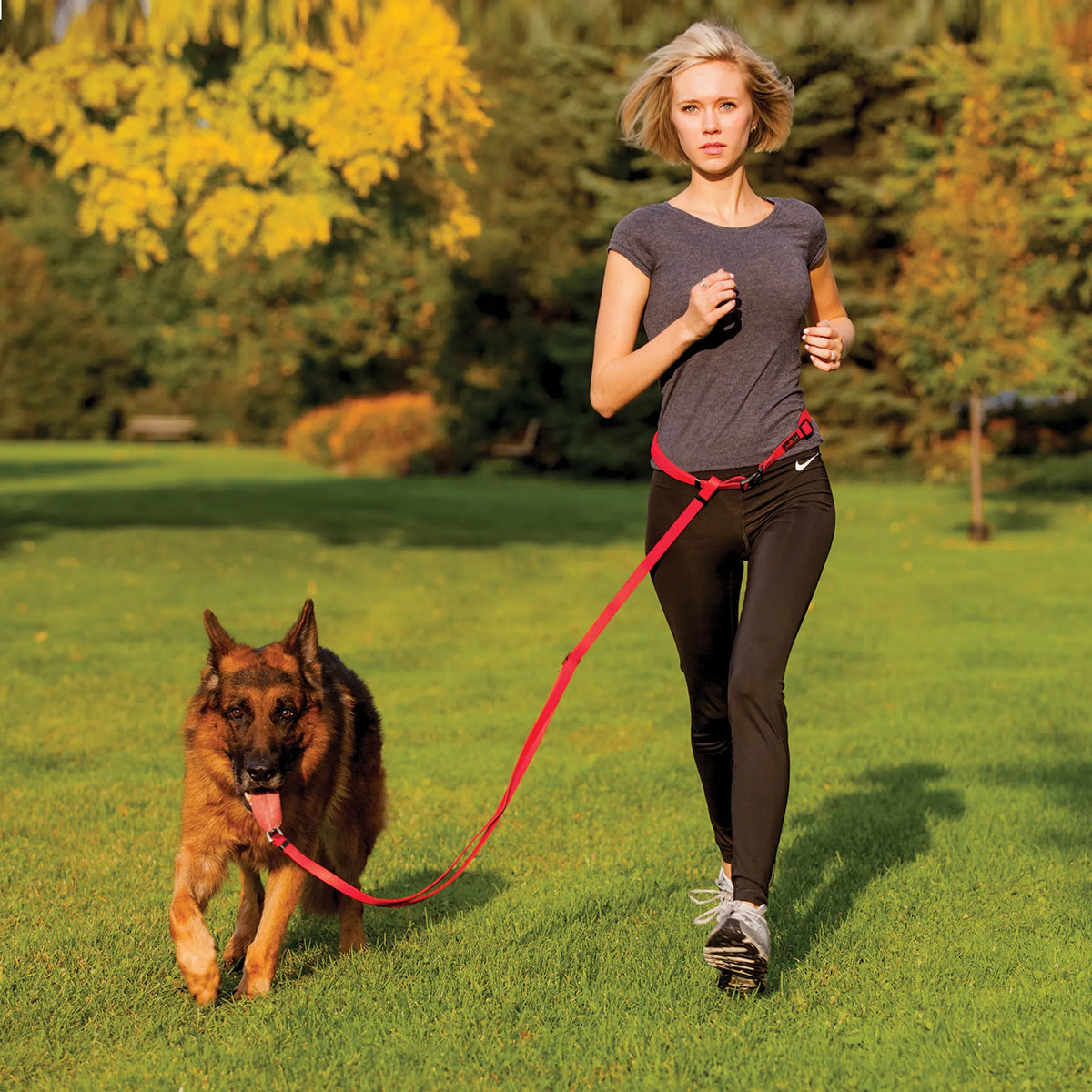 BOSS ADJUSTABLE LEASH