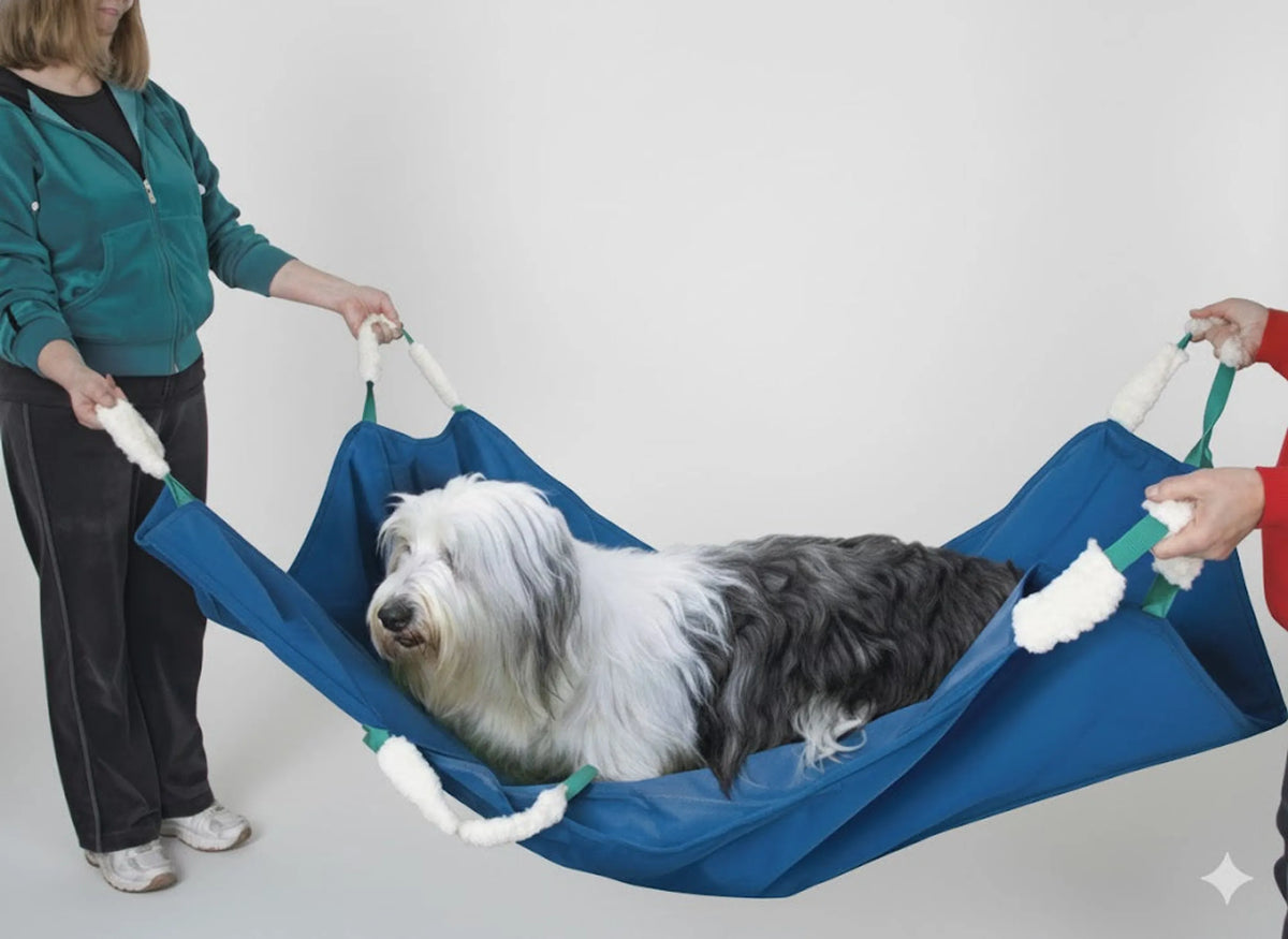 SOFT QUICK CARRY STRETCHER