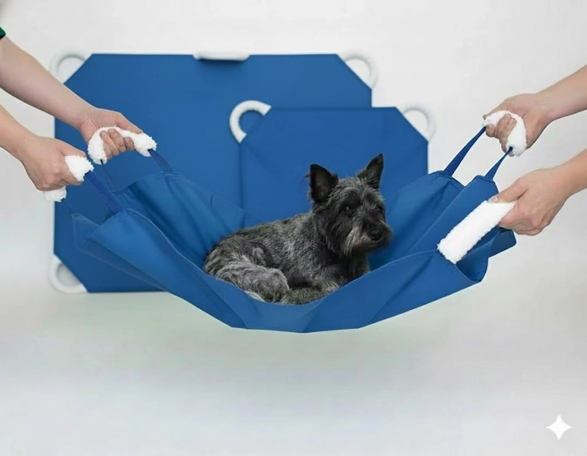 SOFT QUICK CARRY STRETCHER