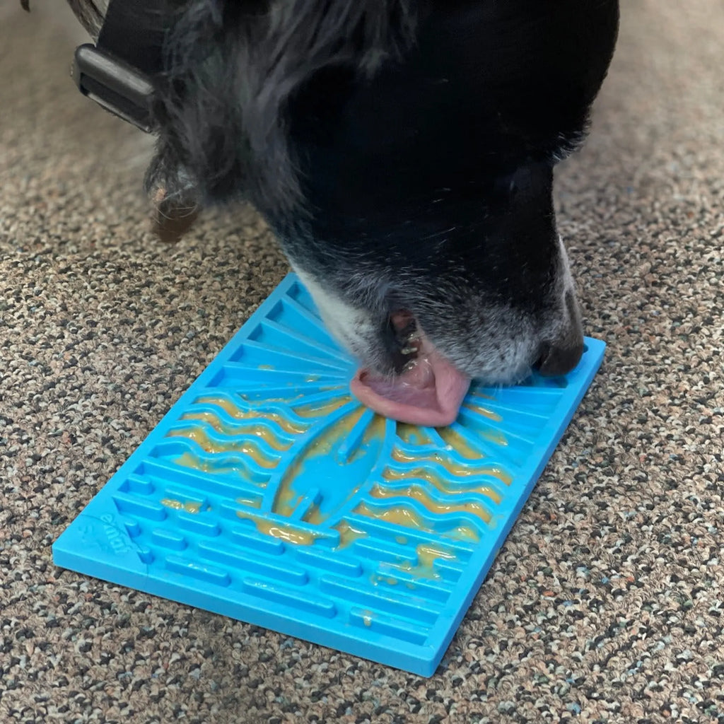 SURFS UP LICKABLE MAT