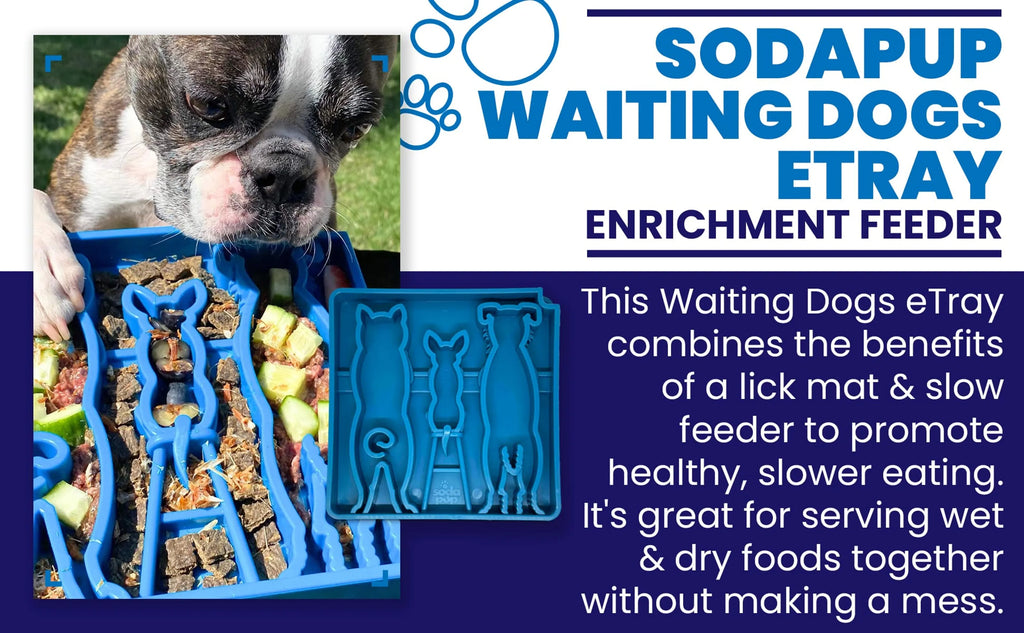WAITING DOGS E TRAY SLOW FEEDER