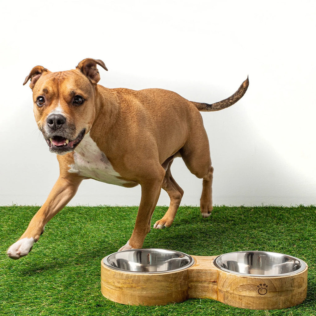GF MANGO WOOD DOUBLE FEEDER