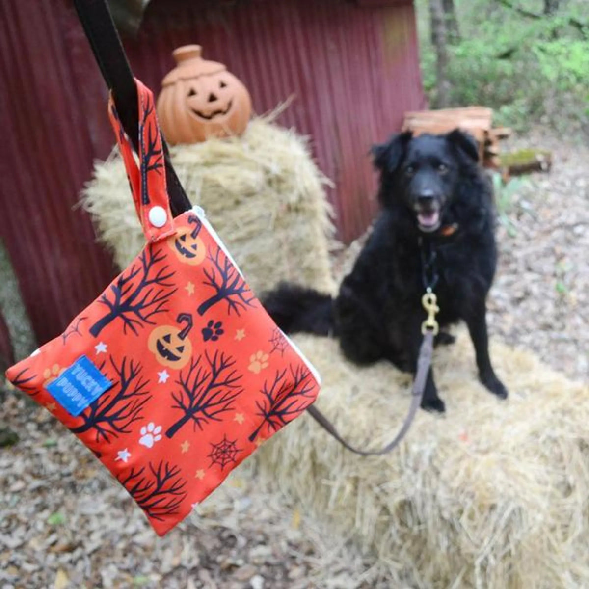 HALLOWEEN YUCKY PUPPY POOP BAG CARRIER